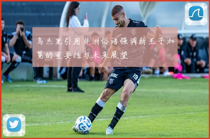 乌杰里引用非洲俗语强调新王子加冕的重要性与未来展望